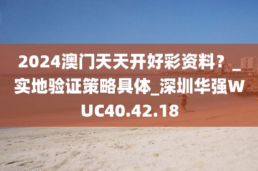 2024澳门天天开好彩资料？_实地验证策略具体_深圳华强WUC40.42.18