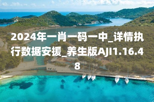 2024年一肖一码一中_详情执行数据安援_养生版AJI1.16.48