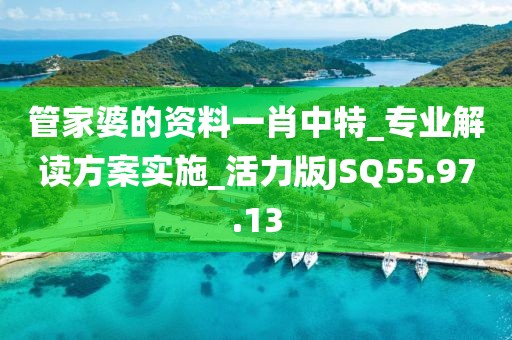 管家婆的资料一肖中特_专业解读方案实施_活力版JSQ55.97.13