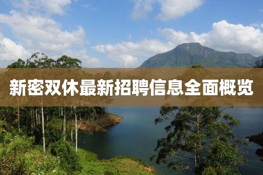 新密双休最新招聘信息全面概览