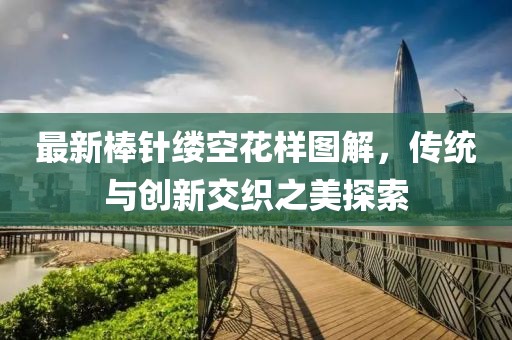 最新棒针缕空花样图解，传统与创新交织之美探索