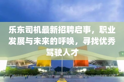 乐东司机最新招聘启事，职业发展与未来的呼唤，寻找优秀驾驶人才