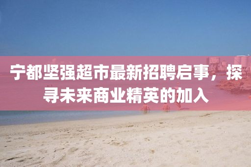 宁都坚强超市最新招聘启事，探寻未来商业精英的加入