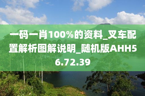 一码一肖100%的资料_叉车配置解析图解说明_随机版AHH56.72.39
