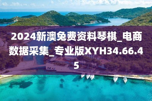 2024新澳兔费资料琴棋_电商数据采集_专业版XYH34.66.45