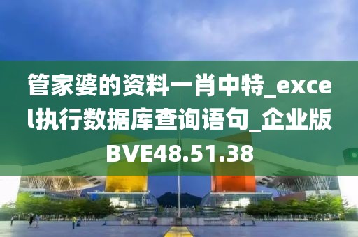 管家婆的资料一肖中特_excel执行数据库查询语句_企业版BVE48.51.38