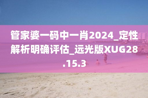 管家婆一码中一肖2024_定性解析明确评估_远光版XUG28.15.3