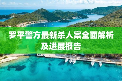 罗平警方最新杀人案全面解析及进展报告