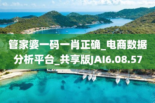 管家婆一码一肖正确_电商数据分析平台_共享版JAI6.08.57