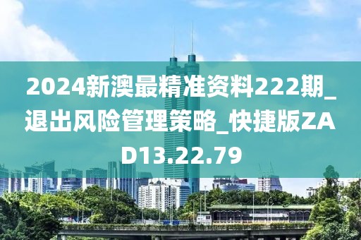 2024新澳最精准资料222期_退出风险管理策略_快捷版ZAD13.22.79