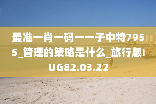 最准一肖一码一一子中特7955_管理的策略是什么_旅行版IUG82.03.22