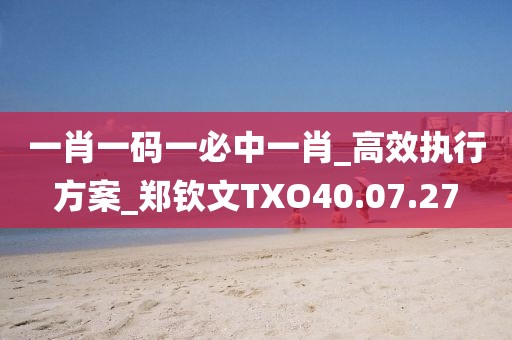 一肖一码一必中一肖_高效执行方案_郑钦文TXO40.07.27
