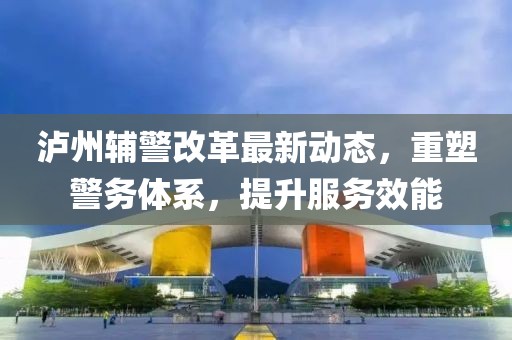 泸州辅警改革最新动态，重塑警务体系，提升服务效能