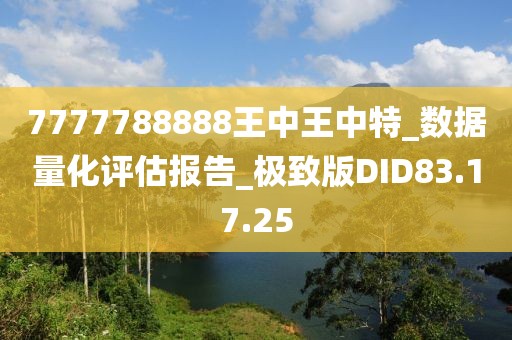 7777788888王中王中特_数据量化评估报告_极致版DID83.17.25