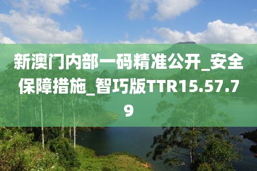 新澳门内部一码精准公开_安全保障措施_智巧版TTR15.57.79