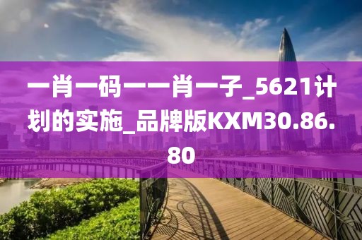 一肖一码一一肖一子_5621计划的实施_品牌版KXM30.86.80