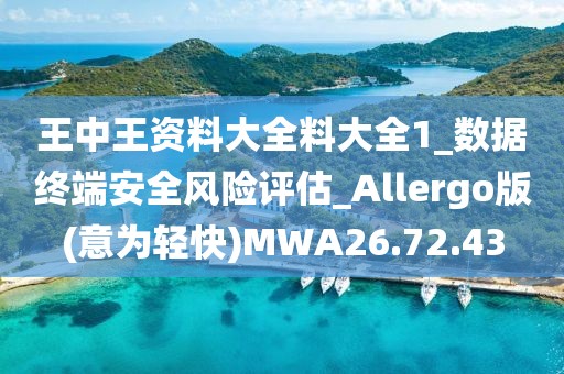 王中王资料大全料大全1_数据终端安全风险评估_Allergo版(意为轻快)MWA26.72.43