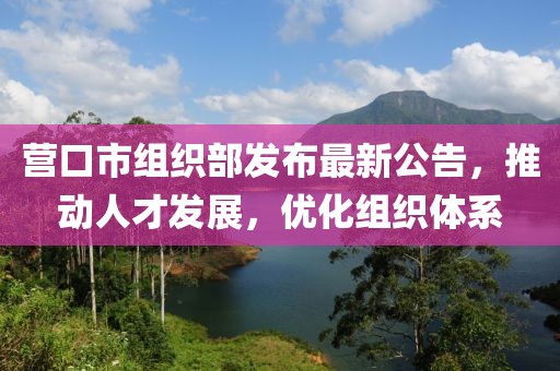 营口市组织部发布最新公告，推动人才发展，优化组织体系