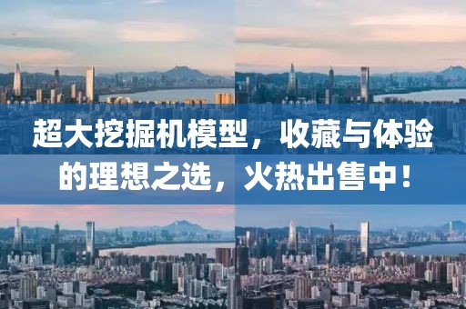 超大挖掘机模型，收藏与体验的理想之选，火热出售中！