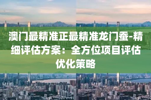 澳门最精准正最精准龙门蚕-精细评估方案：全方位项目评估优化策略