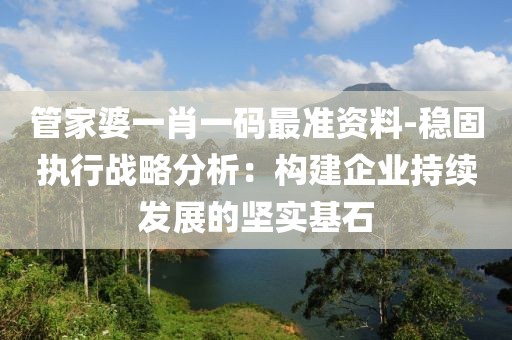 管家婆一肖一码最准资料-稳固执行战略分析：构建企业持续发展的坚实基石
