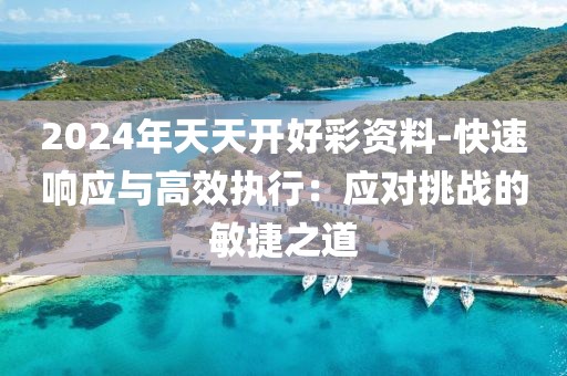 2024年天天开好彩资料-快速响应与高效执行：应对挑战的敏捷之道