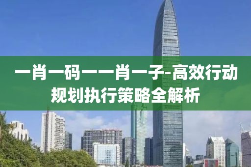 一肖一码一一肖一子-高效行动规划执行策略全解析