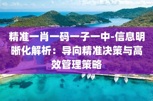 精准一肖一码一子一中-信息明晰化解析：导向精准决策与高效管理策略