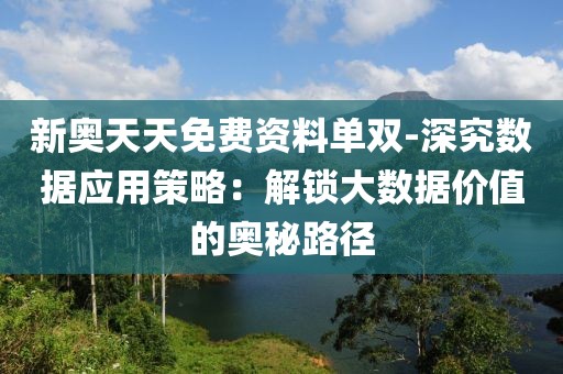 新奥天天免费资料单双-深究数据应用策略：解锁大数据价值的奥秘路径