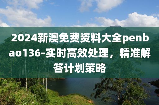 2024新澳免费资料大全penbao136-实时高效处理，精准解答计划策略