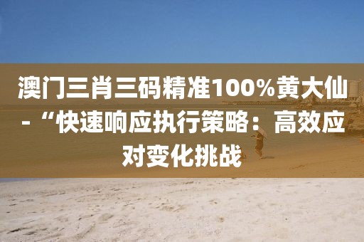 澳门三肖三码精准100%黄大仙-“快速响应执行策略：高效应对变化挑战
