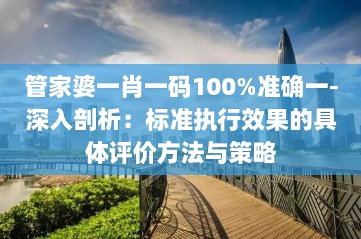 管家婆一肖一码100%准确一-深入剖析：标准执行效果的具体评价方法与策略