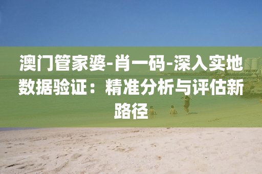 澳门管家婆-肖一码-深入实地数据验证：精准分析与评估新路径