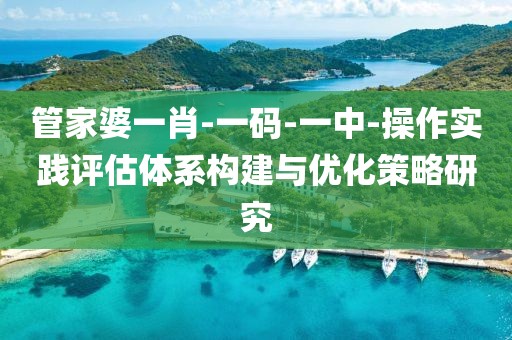 管家婆一肖-一码-一中-操作实践评估体系构建与优化策略研究