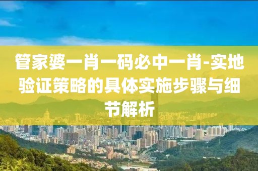 管家婆一肖一码必中一肖-实地验证策略的具体实施步骤与细节解析
