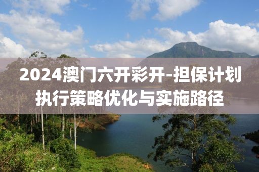 2024澳门六开彩开-担保计划执行策略优化与实施路径