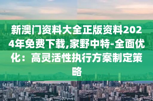 新澳门资料大全正版资料2024年免费下载,家野中特-全面优化：高灵活性执行方案制定策略