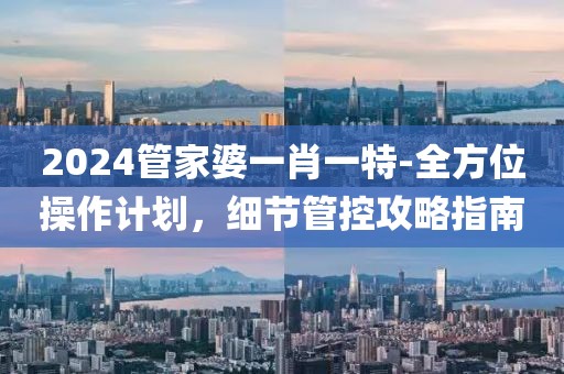 2024管家婆一肖一特-全方位操作计划，细节管控攻略指南