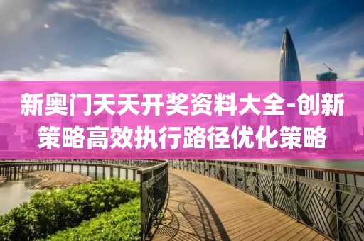 新奥门天天开奖资料大全-创新策略高效执行路径优化策略