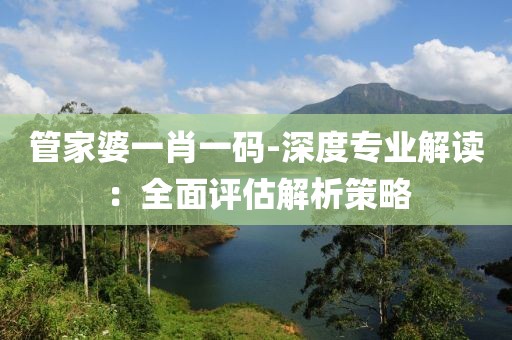 管家婆一肖一码-深度专业解读：全面评估解析策略