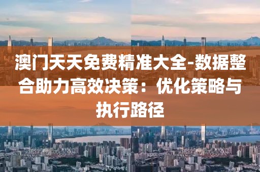 澳门天天免费精准大全-数据整合助力高效决策：优化策略与执行路径