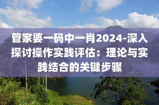 管家婆一码中一肖2024-深入探讨操作实践评估：理论与实践结合的关键步骤