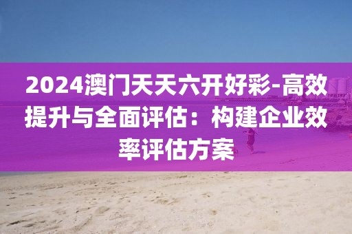 2024澳门天天六开好彩-高效提升与全面评估：构建企业效率评估方案