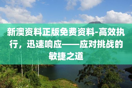 新澳资料正版免费资料-高效执行，迅速响应——应对挑战的敏捷之道