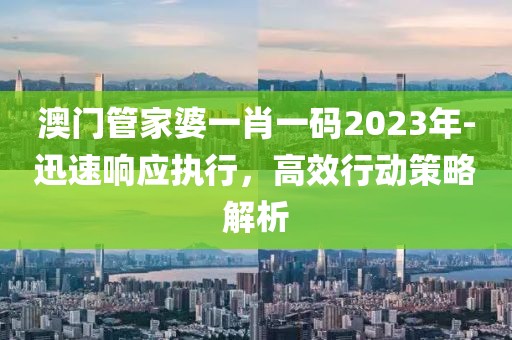澳门管家婆一肖一码2023年-迅速响应执行，高效行动策略解析