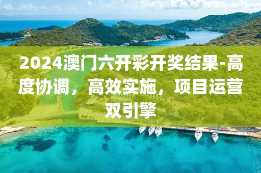 2024澳门六开彩开奖结果-高度协调，高效实施，项目运营双引擎