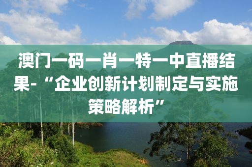 澳门一码一肖一特一中直播结果-“企业创新计划制定与实施策略解析”
