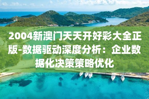 2004新澳门天天开好彩大全正版-数据驱动深度分析：企业数据化决策策略优化