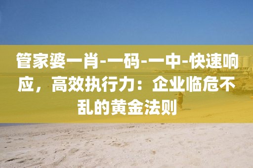 家徒四壁 第67页