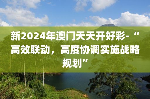新2024年澳门天天开好彩-“高效联动，高度协调实施战略规划”